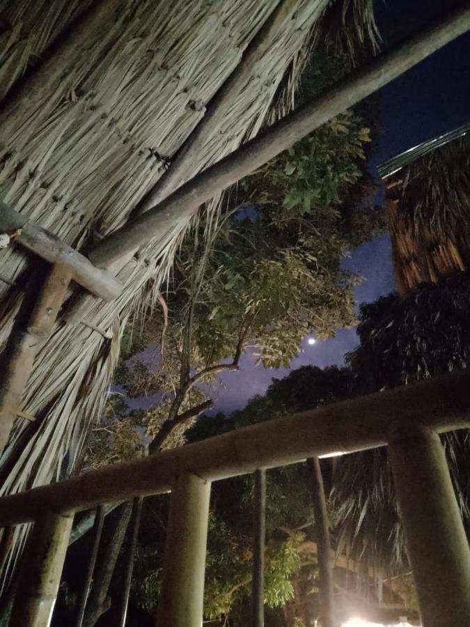 פאלומינו Cabana Buenos Aires מראה חיצוני תמונה